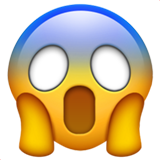 14.png