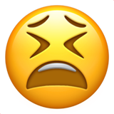 19.png