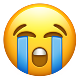 20.png
