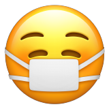 23.png