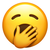 29.png